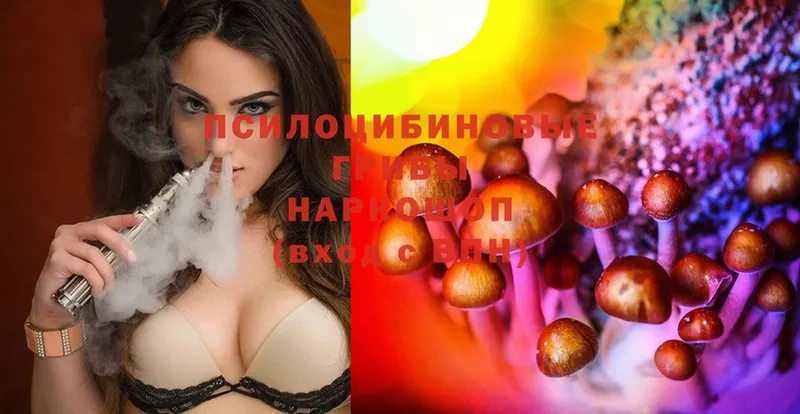 Псилоцибиновые грибы Psilocybe  Орлов 